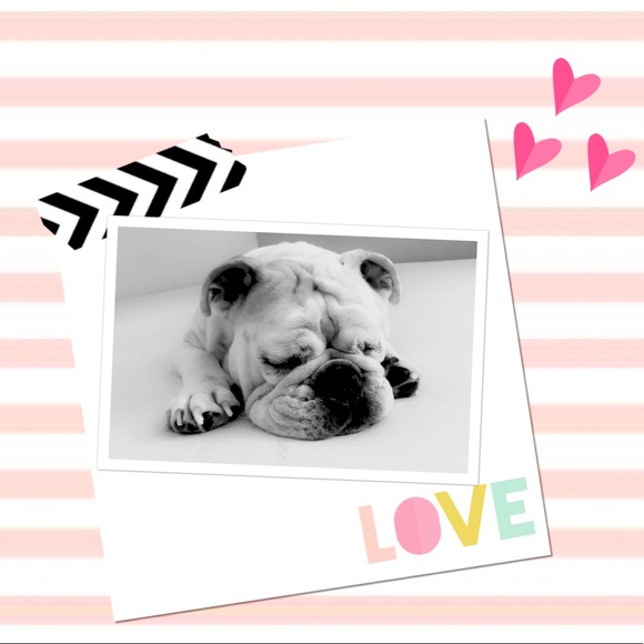 Meet your Posher, Paula - Picture 1 of 1